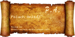 Pelach Anikó névjegykártya